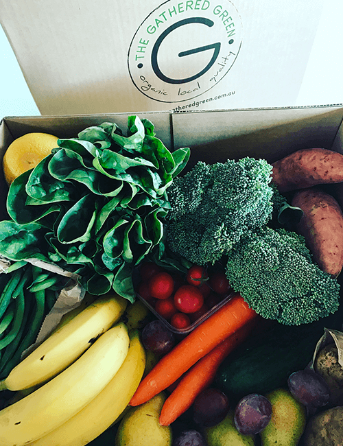 Organic Seasonal Box Medium